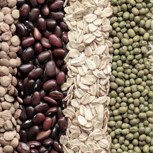 Variety of grains and beans utilized in medical weight loss